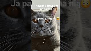 no prawda🤣 #Kayach#polsat