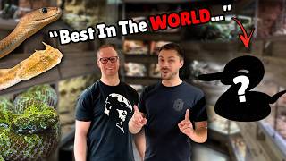 Is THIS the Best Venomous Snake Collection on Earth