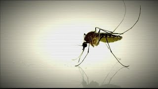 Vanderburgh Health Department spraying for mosquitoes Friday