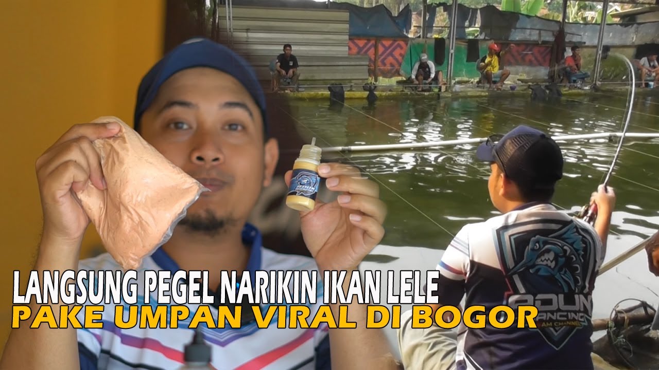 UMPAN GA PERLU DI BINA, AUTO MACOK DI PAKE PARA USMAN SEJATI DI KOLAM !!! WAJIIIIIIIB COBA BRODIE...
