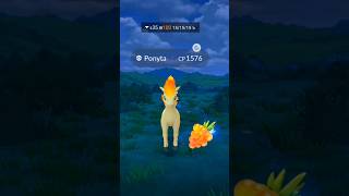 100% PERFECT HUNDO PONYTA CATCH! 🐴🔥 #PokemonGO #Shorts 100% PERFECT HUNDO PONYTA CATCH! 🐴🔥 #PokemonGO #Shorts