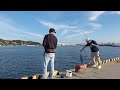 なんでこれ釣れるの？