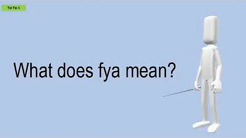 Cosa significa Fly nelle mail?