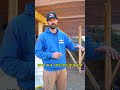 #prowood #trueframe #colorado #outdoorwork #carpentry #deckbuilding #woodwork #construction #diy