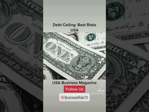 Debt Ceiling: Business Risks USA @RiskBusinessTV Channel