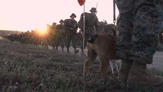 Watch: Marine Corps Pvt. Bruno's Incredible Transformation at Camp Pendleton!