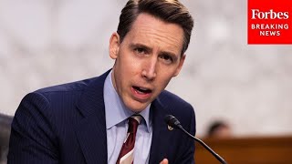 'Wait A Minute, Wait A Minute': Josh Hawley Counters CEO's Claim On AI