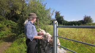 How To Make Space for Nature | Homesteading with Jim Cronin [Chapter 5]
