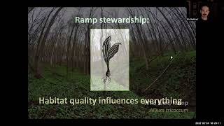 Celebrity Forest Farming in Focus Series - Webinar #2: Digging Deeper into Ramp Forest Farming Profile