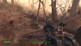 Fallout 4 Bug Gracioso