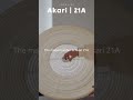 AKARI 21A Unboxing &amp; Assembly | Noguchi Akari Paper Lamp #homedecor #interiordesign