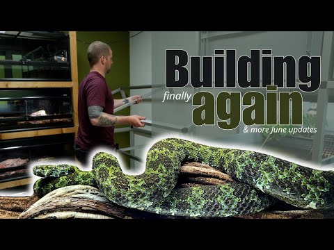 Started my biggest Terrarium build