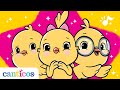 Canticos | Los Pollitos: Kiki, Nicky y Ricky | Colección de canciones infantiles | Aprende inglés