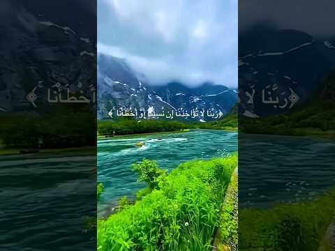 تلاوة خيالية وراحة نفسية الشيخ ماهر المعيقلي ربنا لا تؤاخذنا إن نسينا أو أخطأنا  اكسبلور