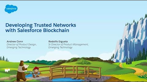 Developing Trusted Networks with Salesforce Blockchain