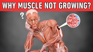 Reasons Why Your Muscles Are NOT Growing And How To Fix It