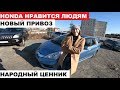 НОВАЯ ПАРТИЯ АВТОМОБИЛЕЙ. обзор цен на HONDA. FIT SHUTTLE. FREED SPIKE.