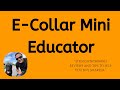 Micro Educator ME-300-1/3 Mile Ecollar Dog Training Collar with Remote