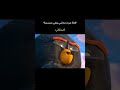 أصدقائي إذا مرت بجانبي فتاة وهي مبتسمة ميمز مقاطع ضحك مضحك ضحك 