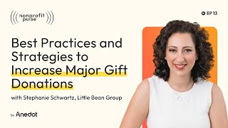 Major Gifts: Best Practices and Strategies to Increase Major Gift Donations - Stephanie Schwartz