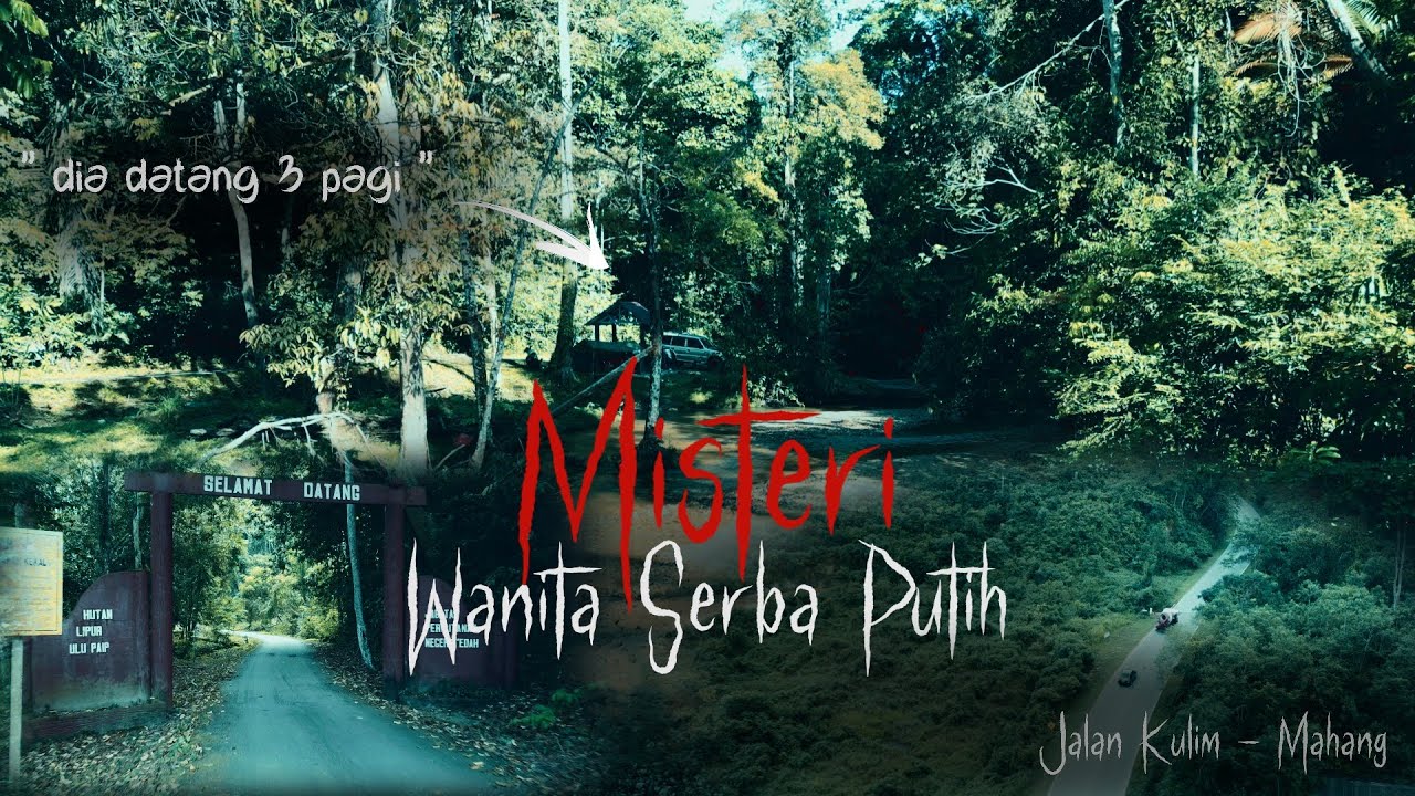 Seram Diganggu di Hutan lipur | Salakkan Anjing Menandakan sesuatu | Jalan sunyi Kulim - Mahang