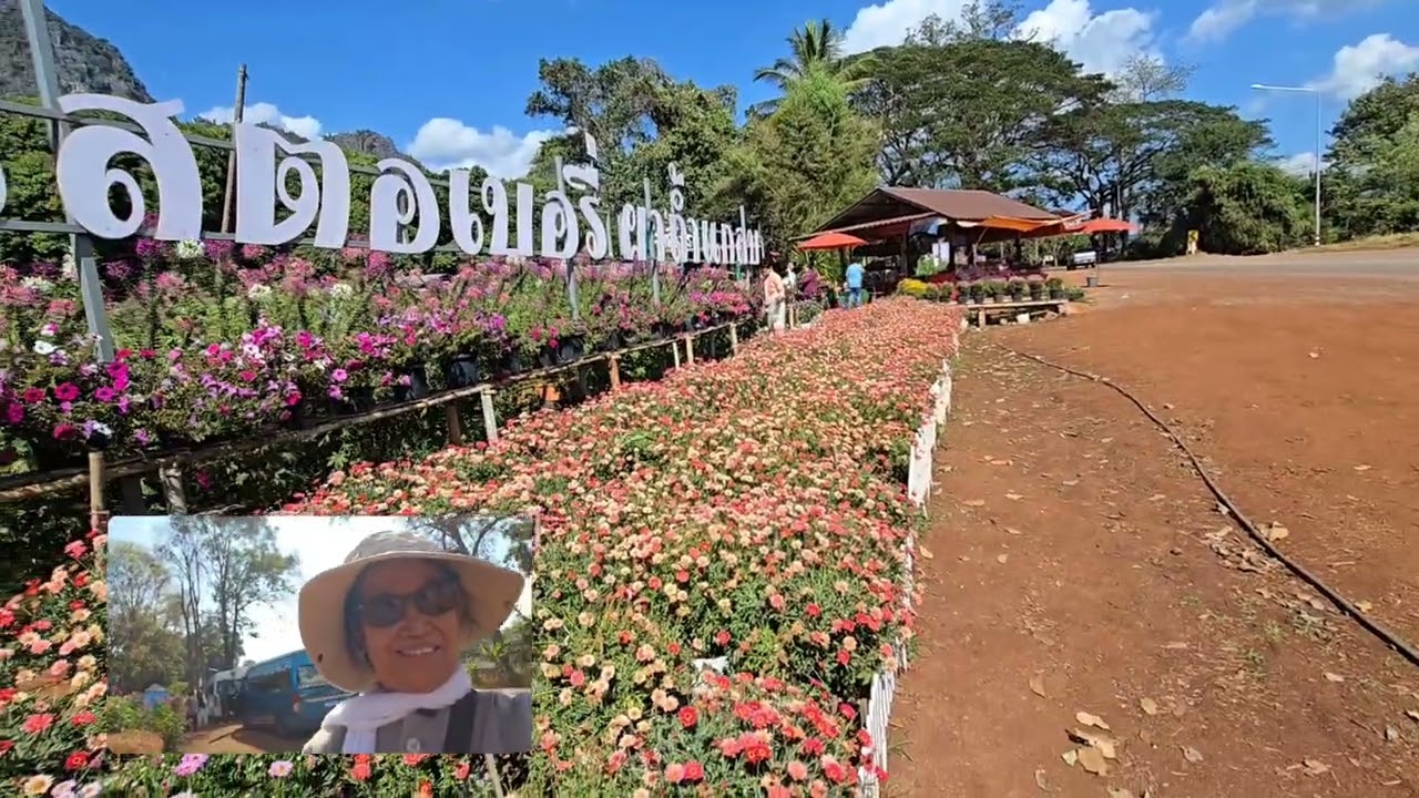 สรงน้ำพระธาตุและผ้าป่าวัดทรายแดง  @ ฝาง 