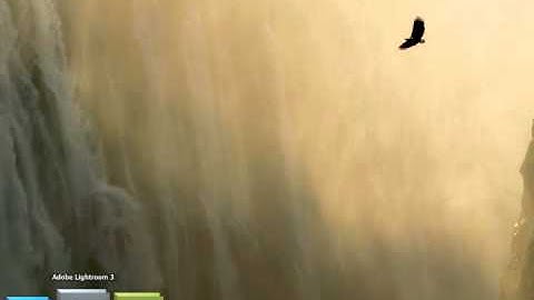 What is in my Dock? (Mac Application Overview)