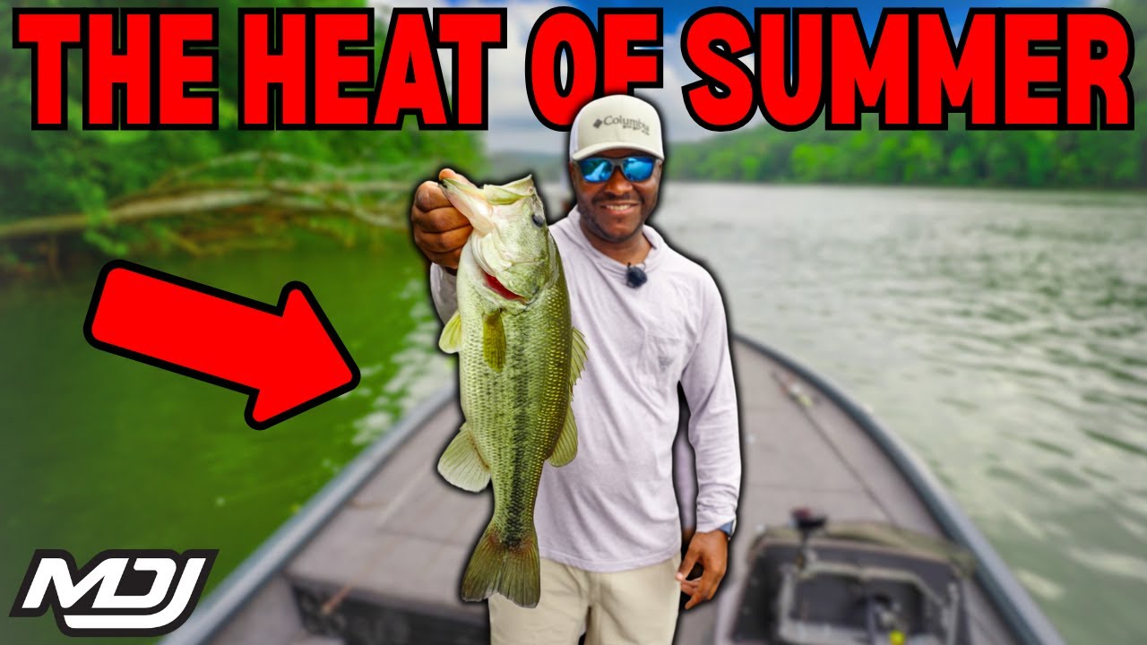 Fishing SHALLOW In The Middle Of Summer (Topwater Fishing)