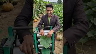 Amazing Leaf Processing Machine in Farm 🌿 | Smart Agriculture Technology | AI Farming Innovation