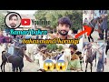 kamori bakra sahiwal video korangi dial number new update ⭐🐐✅# YouTube FarazRajput135 🤩#pakistan