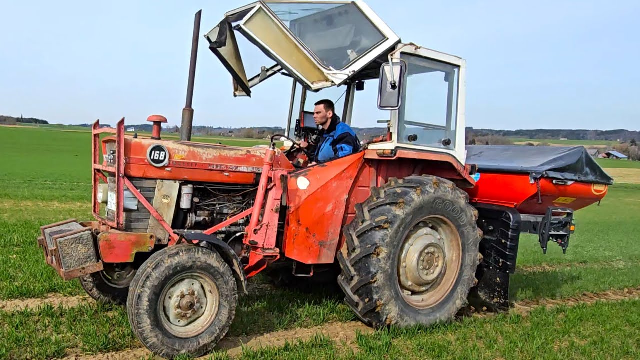 Massey Ferguson 168 Oldtimer mit VICON Düngerstreuer Rotaflow Geospread RO-M beim Raps düngen 2024