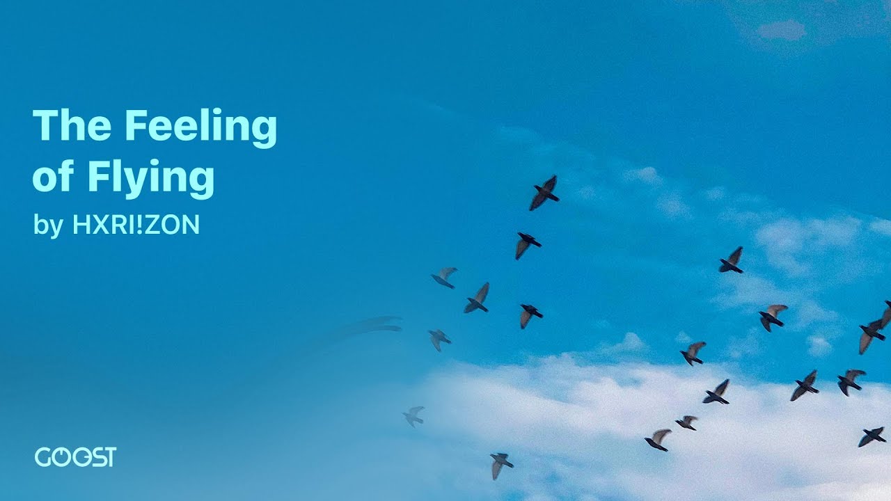 HXRI!ZON - The Feeling of Flying