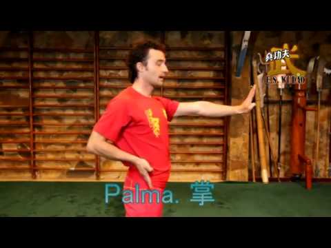 Video: Cómo Aprender Wushu