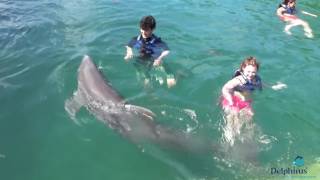 "Delphinus" video from "Xcaret Park" - (‎June ‎10, ‎2016)