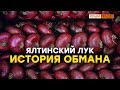 Как выбрать настоящий ялтинский лук?