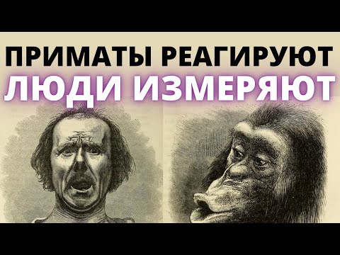 Решение проблем создаёт больше проблем — Ошибка реагирующего. Как принимают решения люди и приматы.