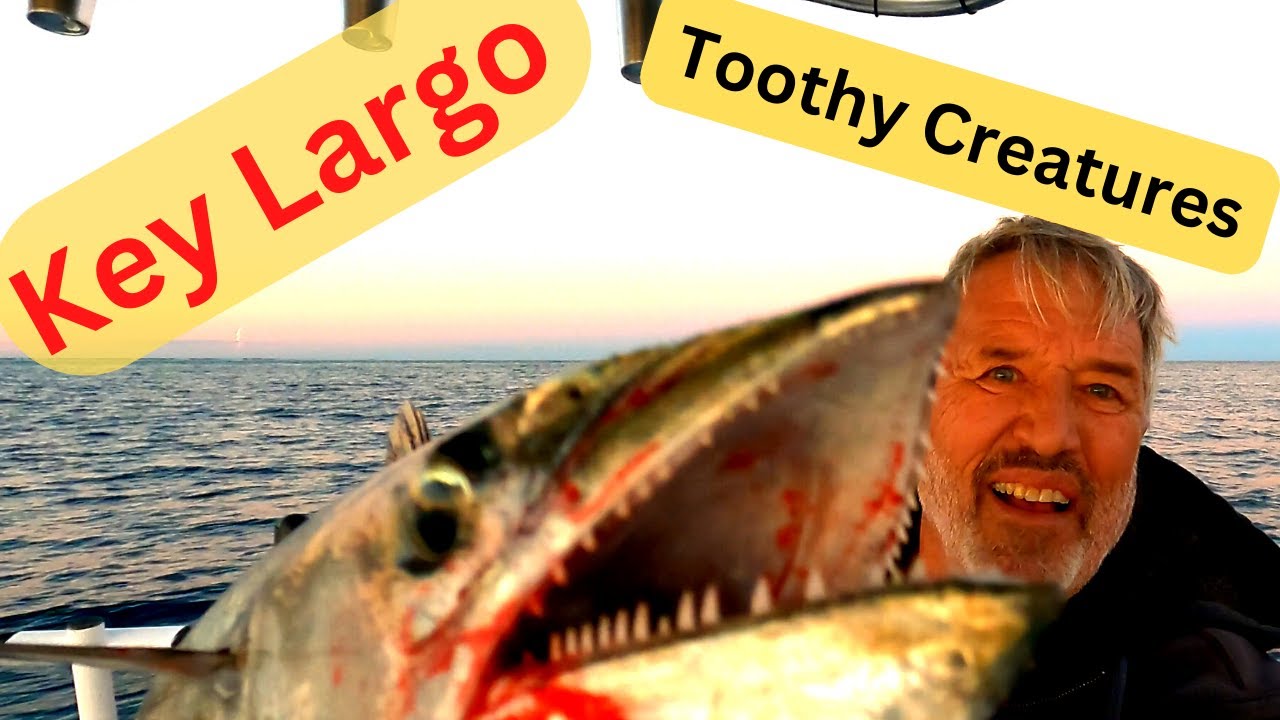 Key Largo - Islamorada Reef Fishing Trolling Wintertime Yellow Eyed Jacks, Cero Mackerel, BlueRunner