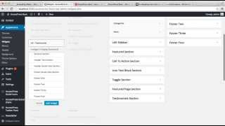AccessPress Basic - How To Configure Testimonial Section and Service Section | WordPress Tutorial