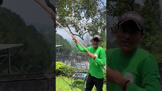 VILLA 7 KAMAR DI PUNCAK BISA PETIK ALPUKAT GRATIS! 🥑🏔️