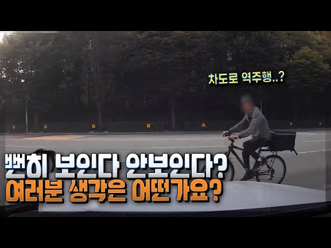 <strong>자전거도로</strong> 냅두고 차도로 역주행하는 자전거, 미리 보였을까?