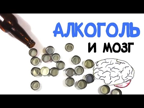 Мозг и алкоголь [AsapSCIENCE]