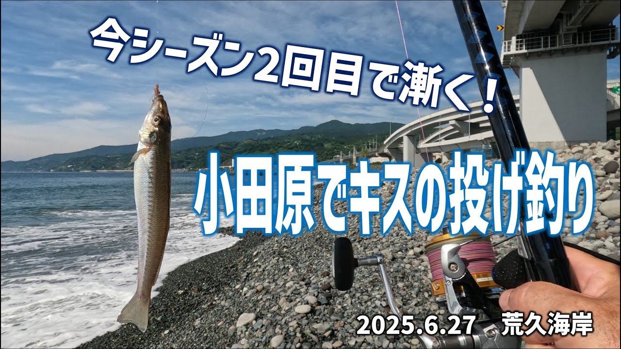 小田原のシロギス、今年はどうかな？ 荒久海岸20250627