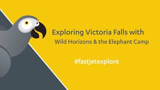 Fastjet Explores Wild Horizons Elephant Camp