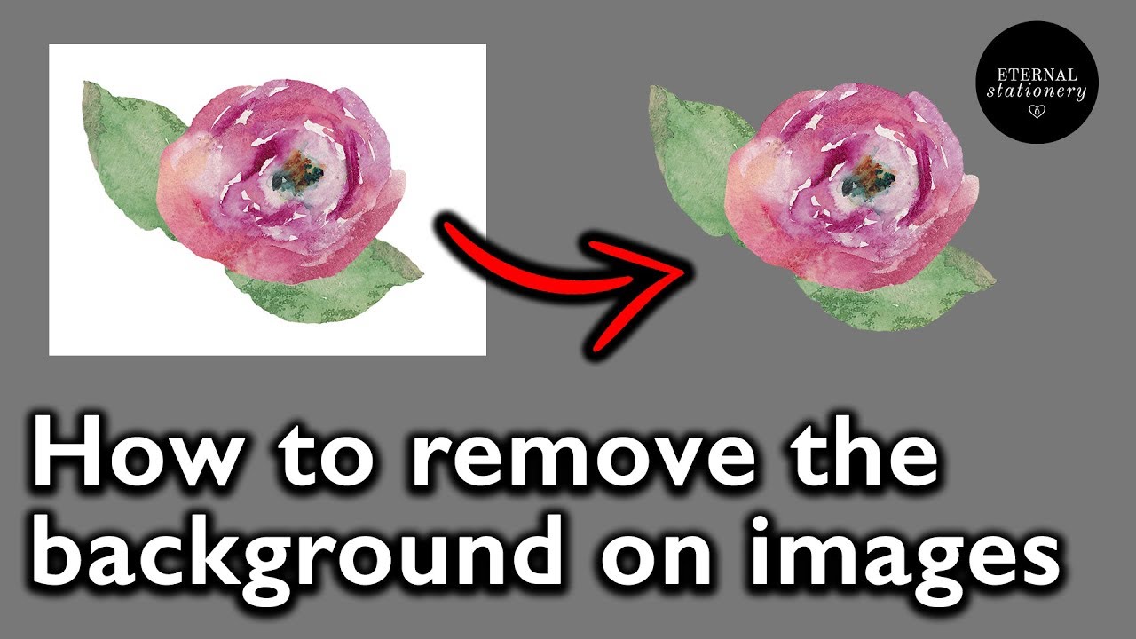 How to Make a Transparent Background - 5 Ways to Remove the