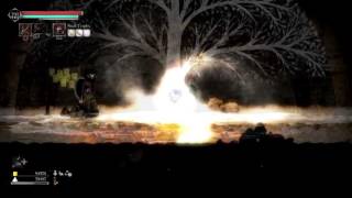 Salt and Sanctuary! Collecting, transmuting and upgrading! What an awesome game! NG++