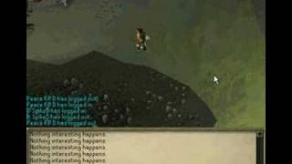 Celebrity Level 2 Clue Scroll(17) Net Worth