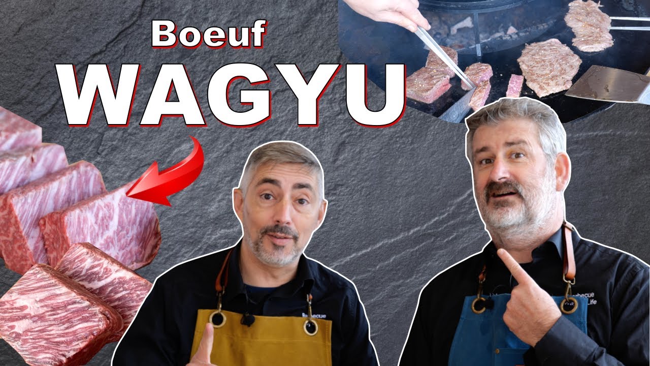 CARACTÉRISTIQUES et CLASSIFICATION du BOEUF du JAPON - WAGYU