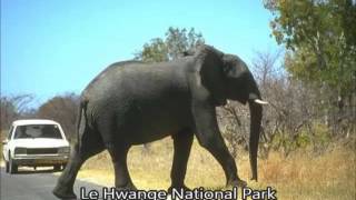 Voyage Zimbabwe : Galerie photo par Easyvoyage