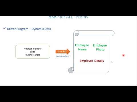 Video 2: ABAP