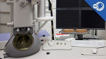 The Electron Microscope: Where did it come from? | Stuff of Genius